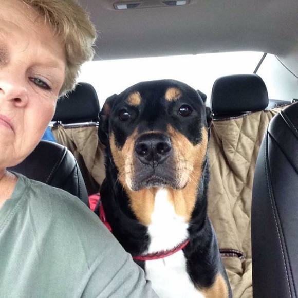 Meet your Posher, Rose - Picture 1 of 1